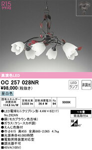 OC257028NR I[fbN LEDVfA `6 F