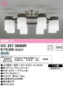 OC257068NR I[fbN LEDVfA `12 F