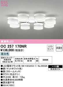 OC257170NR I[fbN LEDVfA `10 F