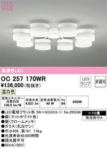 OC257170WR I[fbN LEDVfA `10 F