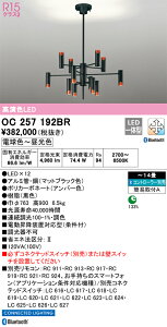 OC257192BR I[fbN LEDVfA BluetoothΉ  F `14