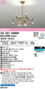 OC257196BR I[fbN LEDVfA BluetoothΉ  F `14