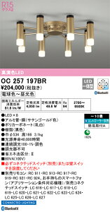 OC257197BR I[fbN LEDVfA BluetoothΉ  F `10