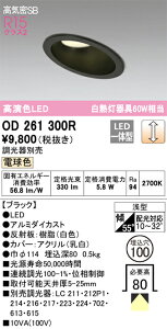 OD261300R I[fbN XΓVpLED_ECg CSB` 100  dF