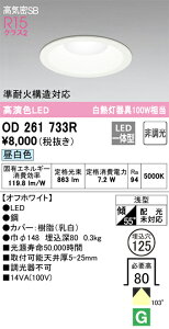 OD261733R �I�[�f���b�N LED�_�E�����C�g ���C��SB�` ��125 �����F