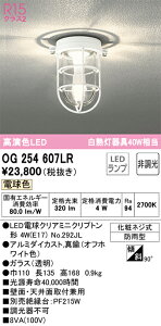 OG254607LR I[fbN pV[OCg LED|[`Cg dF