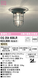 OG254608LR I[fbN pV[OCg LED|[`Cg dF