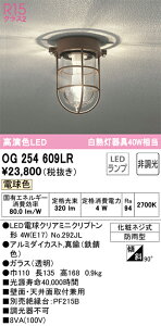 OG254609LR I[fbN pV[OCg LED|[`Cg dF