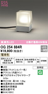 OG254884R �I�[�f���b�N LED�K�[�f�����C�g �d���F