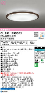 OL251119BCR1 I[fbN LEDV[OCg  F BluetoothΉ `14