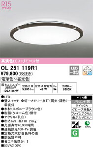 OL251119R1 �I�[�f���b�N LED�V�[�����O���C�g ���� ���F �`14��