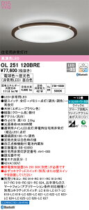OL251120BRE I[fbN Zp퓔tLEDV[OCg `10  F BluetoothΉydmuʔz