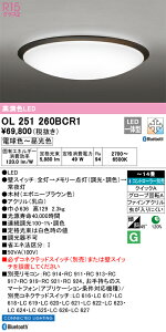 OL251260BCR1 I[fbN LEDV[OCg  F BluetoothΉ `14