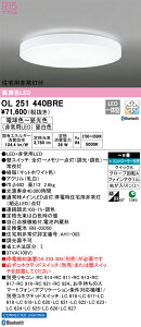 OL251440BRE I[fbN Zp퓔tLEDV[OCg `8  F BluetoothΉydmuʔz