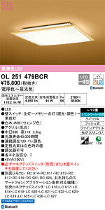 OL251479BCR I[fbN aV[OCg  F BluetoothΉ `12