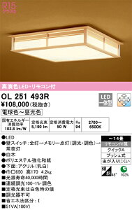 OL251493R �I�[�f���b�N �a��D�V�[�����O���C�g ���� ���F �`14��
