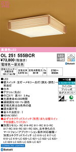 OL251555BCR I[fbN aV[OCg `10  F BluetoothΉ