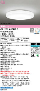 OL251613BRE I[fbN Zp퓔tLEDV[OCg `12  F BluetoothΉydmuʔz