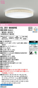 OL251669BRE I[fbN Zp퓔tLEDV[OCg `12  F BluetoothΉydmuʔz