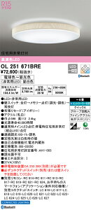 OL251671BRE I[fbN Zp퓔tLEDV[OCg `8  F BluetoothΉydmuʔz