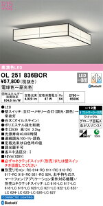 OL251836BCR I[fbN aV[OCg `12  F BluetoothΉ