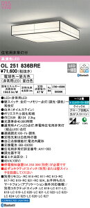 OL251836BRE I[fbN Zp퓔tLEDV[OCg `12  F BluetoothΉydmuʔz