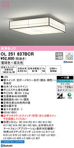 OL251837BCR I[fbN aV[OCg `10  F BluetoothΉ