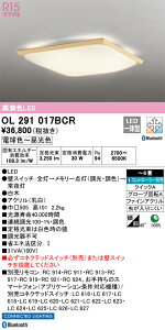OL291017BCR I[fbN aV[OCg `6  F BluetoothΉ
