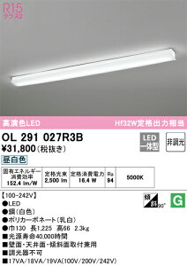 OL291027R3B �I�[�f���b�N LED�L�b�`�����C�g �����F