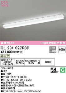 OL291027R3D �I�[�f���b�N LED�L�b�`�����C�g �����F