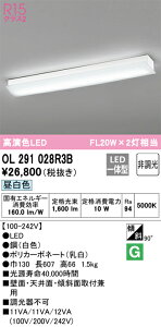OL291028R3B �I�[�f���b�N LED�L�b�`�����C�g �����F