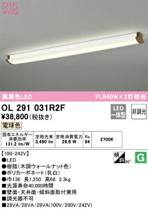 OL291031R2F �I�[�f���b�N LED�L�b�`�����C�g �d���F