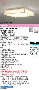 OL291096BRE I[fbN Zp퓔t aV[OCg `12  F BluetoothΉydmuʔz