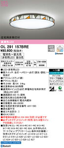 OL291157BRE I[fbN Zp퓔t LEDV[OCg `12  F BluetoothΉydmuʔz