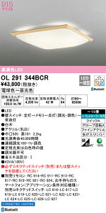 OL291344BCR I[fbN aV[OCg `10  F BluetoothΉ