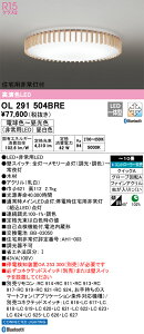 OL291504BRE I[fbN Zp퓔t LEDV[OCg `10  F BluetoothΉydmuʔz