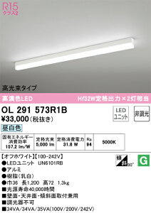OL291573R1B �I�[�f���b�N ���t�^LED�x�[�X���C�g �������^�C�v �����F