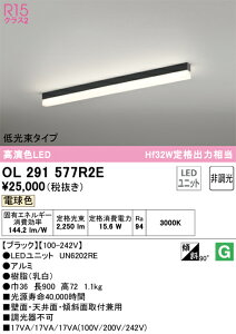 OL291577R2E �I�[�f���b�N ���t�^LED�x�[�X���C�g ������^�C�v �d���F