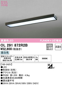 OL291872R2B I[fbN aV[OCg F