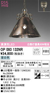 OP093132NR �I�[�f���b�N LED�y���_���g���C�g �����F