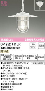 OP252411LR I[fbN pLEDy_gCg dF
