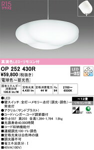 OP252430R I[fbN LEDy_gCg `12  F