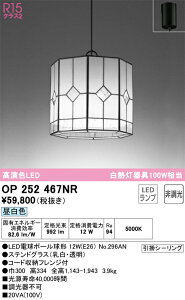 OP252467NR I[fbN ay_gCg F