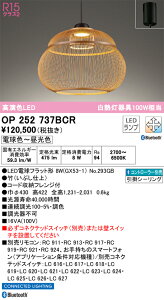 OP252737BCR I[fbN ay_gCg  F BluetoothΉ