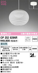 OP252929NR �I�[�f���b�N LED�y���_���g���C�g �����F