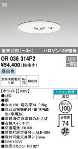 OR036314P2 �I�[�f���b�N ���p�_�E�����C�g ��100 ��V��p�`3m �����F