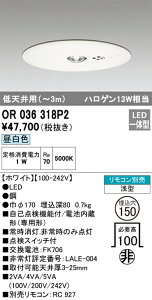 OR036318P2 �I�[�f���b�N ���p�_�E�����C�g ��150 ��V��p�`3m �����F