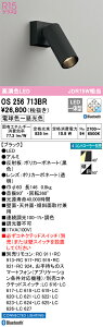 OS256713BR I[fbN LEDX|bgCg  F BluetoothΉ