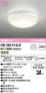 OW269013LR �I�[�f���b�N LED������ �o�X���[�����C�g �d���F