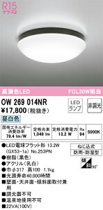 OW269014NR �I�[�f���b�N LED������ �o�X���[�����C�g �����F